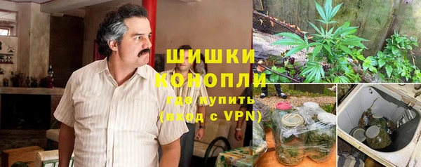 винт Алексин