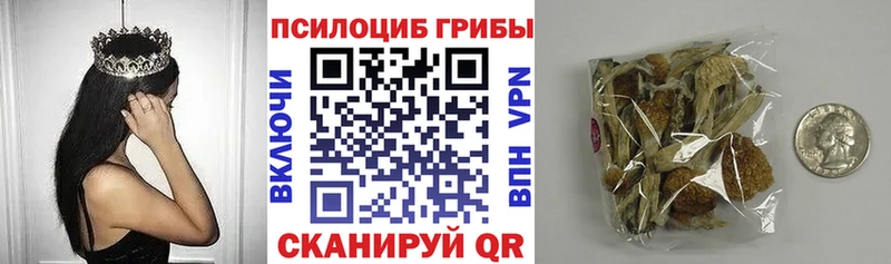 Псилоцибиновые грибы Cubensis  Венёв 