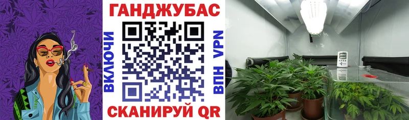 Бошки Шишки марихуана  Венёв 